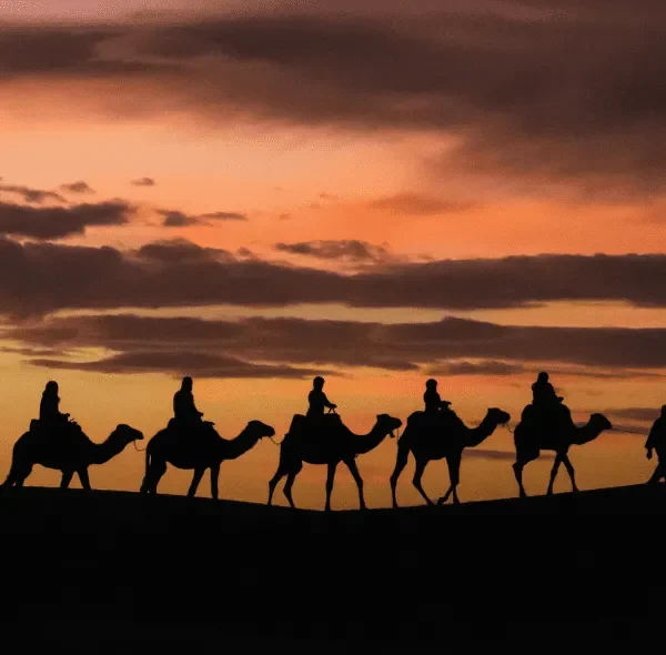 Marche dans le désert 5 jours